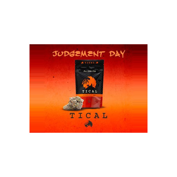 Judgement Day